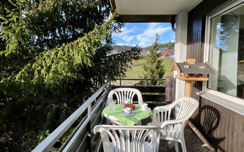 Sonnige Aussichten: Möbel, Stuhl, Veranda, Gartenmöbel, Balkon, Küche & Esszimmer Tisch, Schatten, Garten, Holzbeize
