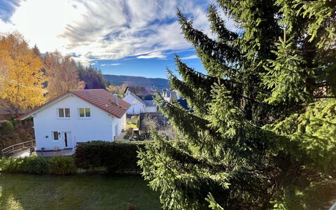 Sonnige Aussichten: Baum, Blatt, Haus, Zuhause, Strauch, Hütte, Lärche, Immergrün