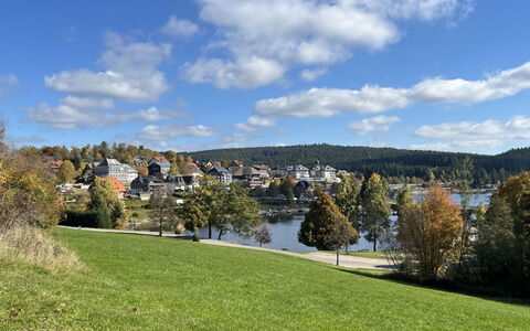 Sonnige Aussichten: Natur, Landschaft, Bank, See, Reservoir, Wiese, Rasen, See