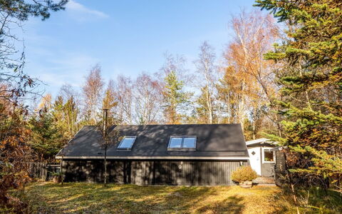 Else - 470M from the Sea: Baum, Ast, Blatt, Gras, Holz, Zuhause, Hütte, Haus, Dach, Zweig