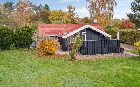 Gyda - 840M from the Sea: Vegetation, Strauch, Frühling, Hütte, Garten, Schatten, Hinterhof, Garten, Stuhl