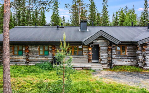 Tunturin Villa Pipo: Hütte, Dach, Lärche, Blockhaus, Abstellgleis, Winter, Immergrün, Einfrieren