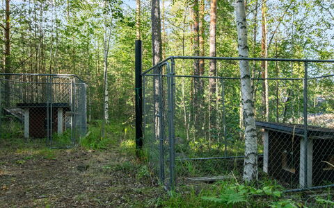 Susiranta: Pflanzengemeinschaft, Gittergewebe, Wald, Maschendraht Fechten, Wald, Wire Fechten, Zaun, Hain, Northern Laubwald