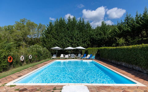 Mulino di Carpineto with Pool Gaiole in Chianti: Schwimmbad, Resort, Gartenmöbel, Eco Hotel, Garten, Schatten, Sonnenliege, Landscaping, Thermae, Hazienda