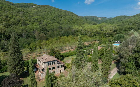 Mulino di Carpineto with Pool Gaiole in Chianti: Natürlichen Umgebung, Vegetation, Zuhause, Haus, Landschaft, Ländliches Gebiet, Strauch, Wohngebiet, Wald, Pflanzengemeinschaft