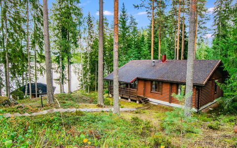 Villa Saimaa: Baum, Holz, Hütte, Haus, Wald, Wald, Pflanzengemeinschaft, Blockhaus, Kofferraum, Lärche