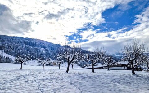 Weerberg 1: Schnee, Blau, Winter, Ast, Landschaft, Einfrieren, Steigung, Geologisches Phänomen, Zweig, Bergstation