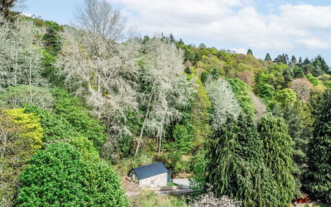 Wayside Bothy: Blatt, Baum, Natürlichen Umgebung, Vegetation, Strauch, Pflanzengemeinschaft, Wald, Naturschutzgebiet, Lärche
