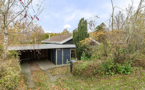 Mika - 300M from the Sea: Hütte, Hinterhof, Garten, Gartenbauten, Schuppen, Abstellgleis, Gartenmöbel, Blockhaus, Outdoor Struktur, Hütte