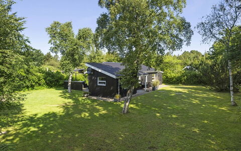 Elaina - 290M from the Sea: Dach, Zuhause, Tür, Hütte, Schatten, Abstellgleis, Garten, Estate, Hinterhof