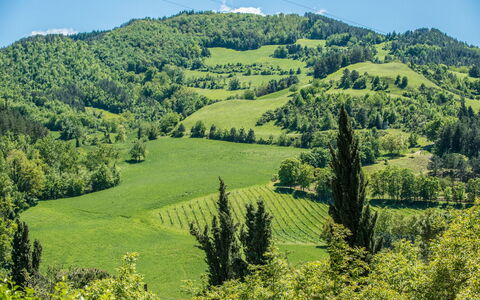 Torre Fantini: Bergforms, Grün, Baum, Berg, Hügel, Natürlichen Umgebung, Blatt, Natürliche Landschaft, Vegetation, Hochland