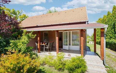 Wild Grape: Holz, Haus, Dach, Strauch, Zuhause, Hütte, Tür, Veranda, Garten