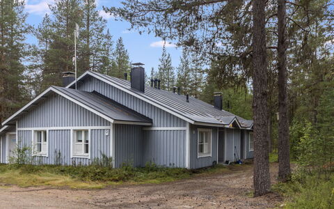 Parintie 3 D 21: Hütte, Abstellgleis, Estate, Immergrün, Lärche, Pine Familie