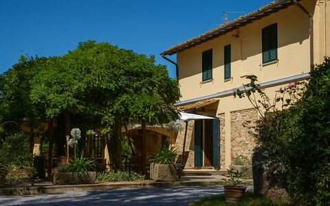 Podere la Botte, Pool, Lari: Strauch, Zuhause, Schatten, Hütte, Estate, Hazienda, Garten, Garten, Landscaping, Villa