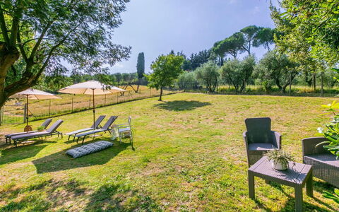Podere la Botte, Pool, Lari: Gras, Strauch, Grundstueck, Einfach, Garten, Wiese, Rasen, Park, Weide, Landscaping