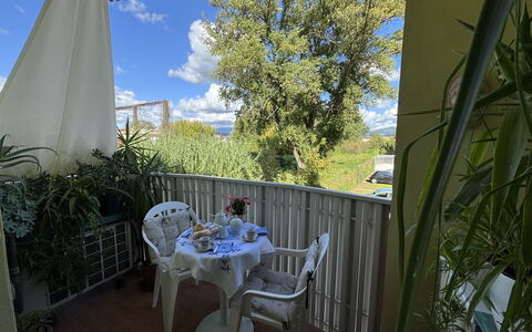 Liz: Möbel, Stuhl, Tabelle, Tisch Im Freien, Gartenmöbel, Küche & Esszimmer Tisch, Schatten, Balkon, Zimmerpflanze, Hinterhof