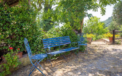 Campiglia Marittima 649: Blau, Außenbank, Möbel, Gartenmöbel, Bank, Garten, Ground, Schatten, Park