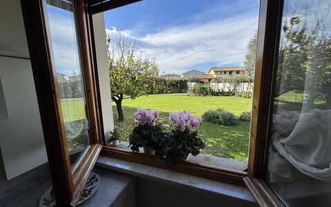 Villa Lory: Garten, Blumentopf, Zimmerpflanze, Landscaping, Garten, Daylighting, Balkon, Hinterhof, Floristik