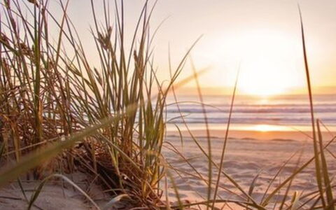 De Bosuil: Strand, Meer, Küste, Morgen, Sonnenaufgang, Sand, Ufer, Ozean, Sonnenlicht, Sonnenuntergang