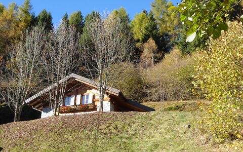 Chalet Genzianella: Gras, Baum, Holz, Haus, Dach, Hütte, Die Architektur, Ländliches Gebiet, Strauch, Zuhause