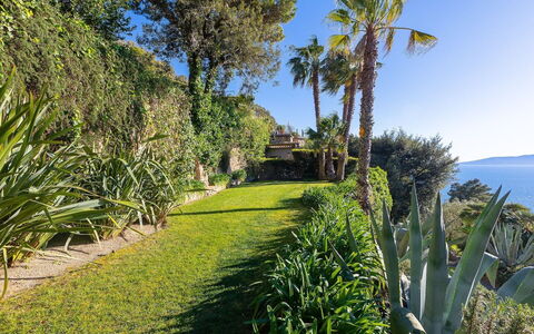 La Terrazza sul Mare: Blau, Grün, Vegetation, Meer, Strauch, Ozean, Küste, Küsten Und Ozeanische Forms, Pflanzengemeinschaft, Garten