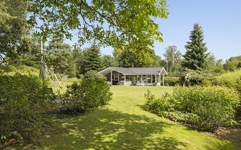 Franke - 1.2Km from the Sea