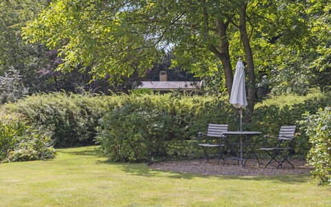 Franke - 1.2Km from the Sea: Baum, Grün, Blatt, Natur, Ast, Vegetation, Strauch, Garten, Landschaft