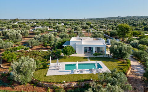 Lacorte di Ninetta: Landschaft, Grundstueck, Estate, Landscaping, Plantage, Villa