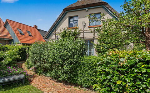 Reetgedecktes Ferienhaus Seelchen: Grün, Wand, Strauch, Haus, Wohngebiet, Garten, Zuhause, Hecke, Ground