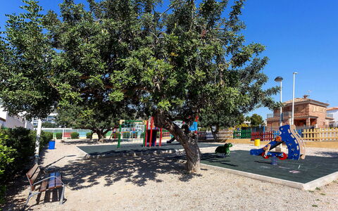 Valenciano: Himmel, Pflanze, Urban Design, Schatten, Freizeit, Baum, Strassenbelag, Asphalt, Landschaft, Immergrün
