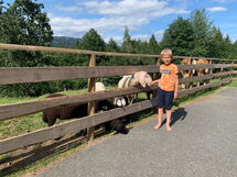 In Gemeinde Hermagor-Pressegger See mit Terrasse,