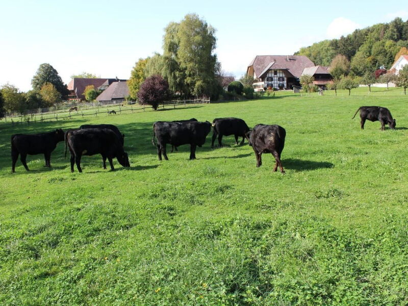 Leinacherhof