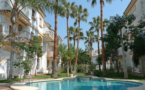 El Patio: Wasser, Pflanze, Gebäude, Eigentum, Himmel, Baum, Fenster, Schwimmbad, Arecales, Wohngebiet