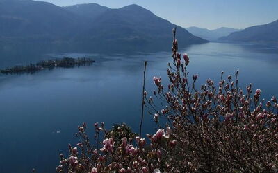 Casa Leula 2 1 2 Zimmerwohnung