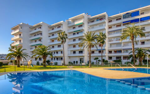 Don Pepe: Wasser, Gebäude, Himmel, Pflanze, Daytime, Eigentum, Schwimmbad, Azurblau, Haus, Baum