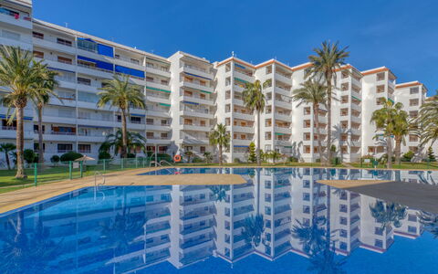 Don Pepe: Wasser, Gebäude, Eigentum, Pflanze, Himmel, Schwimmbad, Azurblau, Fenster, Baum, Haus