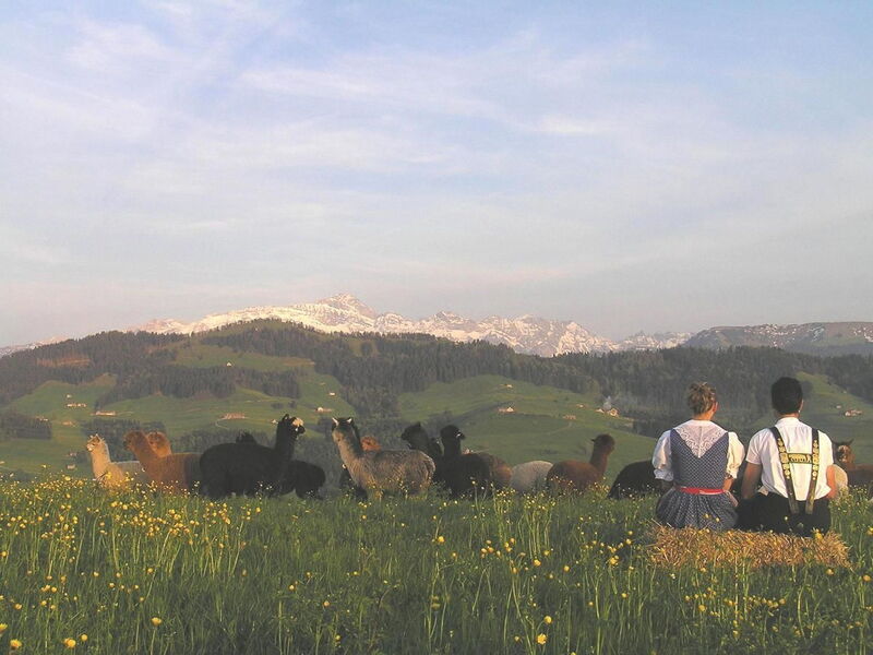 Alpakahof Ferien