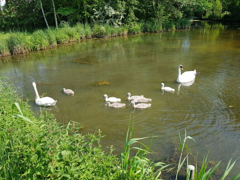 Beim Bracksee
