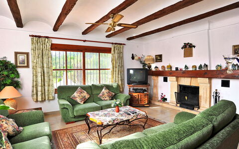 Tarraula: Bilderrahmen, Eigentum, Couch, Grün, Möbel, Zimmerpflanze, Interior Design, Beleuchtung, Komfort, Pflanze