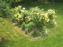 Am Wiesengrund in Venningen