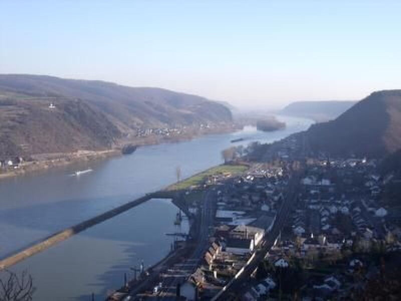 Am Waldrand