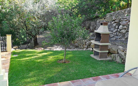 Eretat: Eigentum, Garten, Hinterhof, Gras, Rasen, Garten, Haus, Wand, Baum, Landscaping