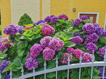 Simon in Gleißenberg