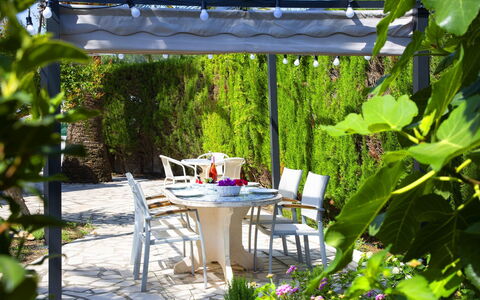 Rafol: Pflanze, Möbel, Tabelle, Pflanzengemeinschaft, Tisch Im Freien, Gartenmöbel, Schatten, Stuhl, Vegetation, Baum