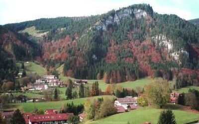 Falkenhorst Wh 19