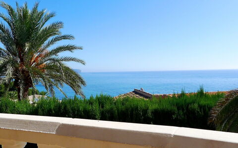 Avalon: Himmel, Eigentum, Daytime, Baum, Azurblau, Palme, Urlaub, Ozean, Meer, Ufer