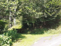 Für 9 Personen im Thüringer Wald