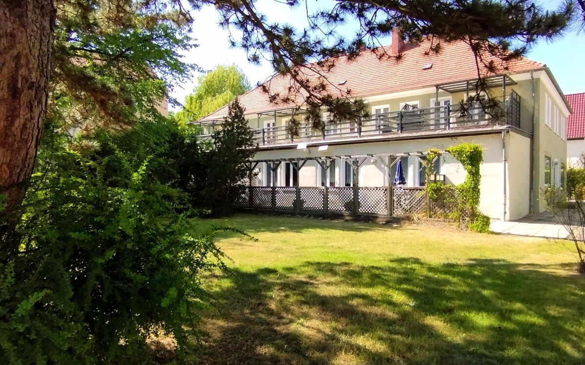 Am Birkenwäldchen