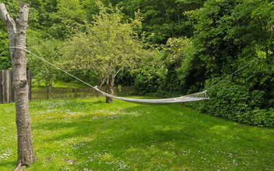 Mirija - 350M from the Sea