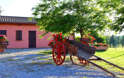 Appartamento Ibisco Seaside and Pool: Garten, Landscaping, Garten, Auffahrt, Blumentopf, Hazienda